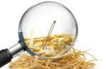 blog-needle-haystack-206x136