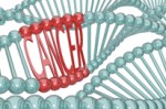 cancer-oncogene-206x136